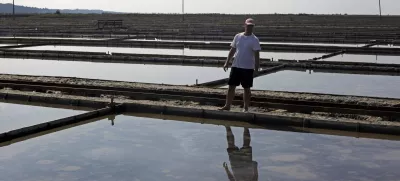 ﻿- Krajinski park Sečoveljske soline (KPSS) - Sečovlje- reportaža v Sečoveljskih solinah, Krajinskem parku in Muzeju solinarstva 2013 - //FOTO: Jaka GasarOPOMBA: ZA OBJAVO V PRILOGI - DNEVNIKOV OBJEKTIV - REPORTAŽA 2013