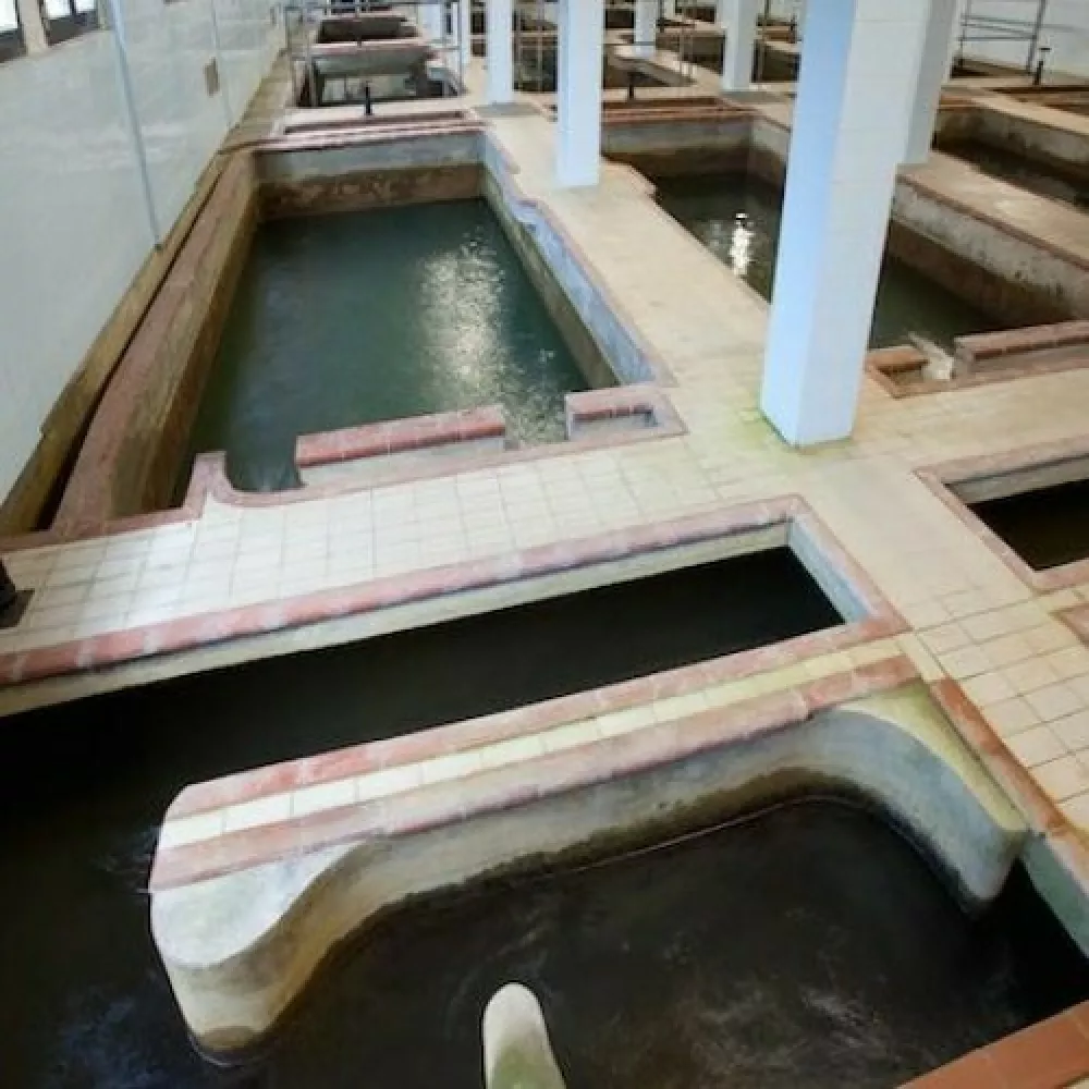 Rižanski vodovod, rižana 