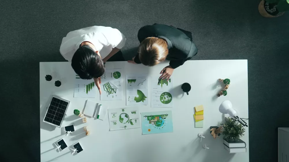 poni lur, podjetništvo / Foto: Nanostockk