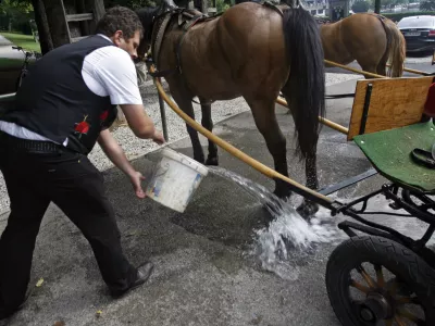 - ilustrativna fotografija - furman - kočija - voz - konjski iztrebki - konj- 7. Strateški forum Bled 2012 - //FOTO: Tomaž Skale