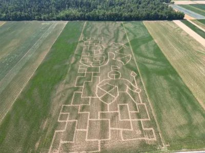 V Kranju se v koruznem labirintu vračajo v srednji vek