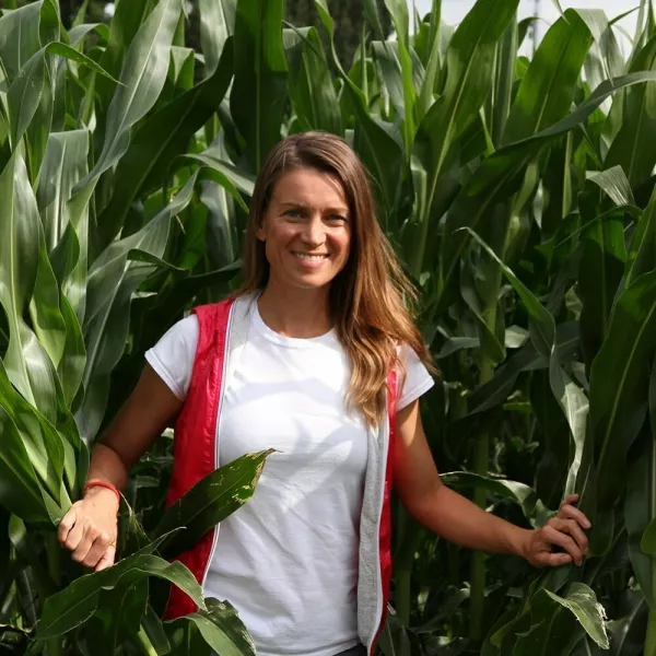 V Kranju se v koruznem labirintu vračajo v srednji vek