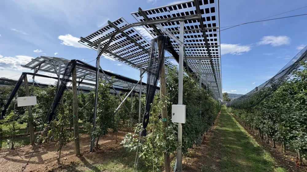 Brdo pri Lukovici.Predstavitev pilotnega projekta uvajanja agrofotovoltaike v poskusnem sadovnjaku na Brdu pri Lukovici.