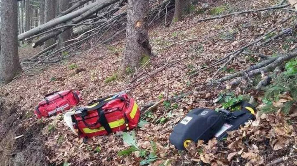 V delovni nesreči je med spravilom lesa umrl moški. 