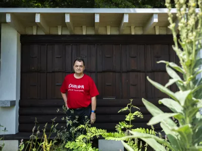 Gostota čebeljih družin v Ljubljani je ogromna