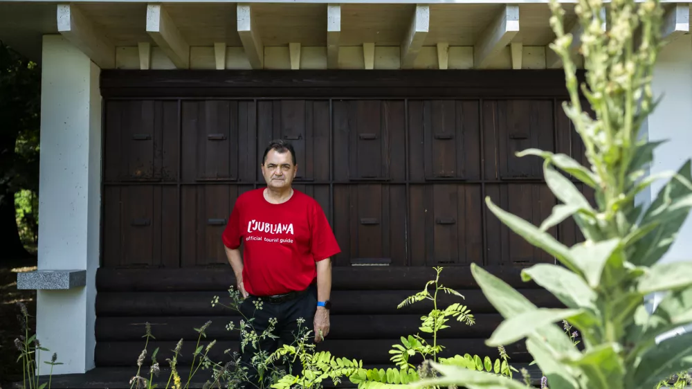 Gostota čebeljih družin v Ljubljani je ogromna