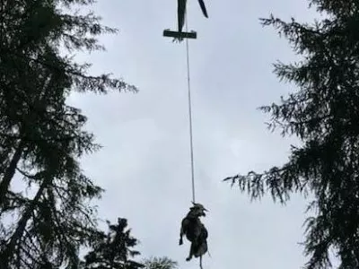 Re&scaron;evanje bika s planine