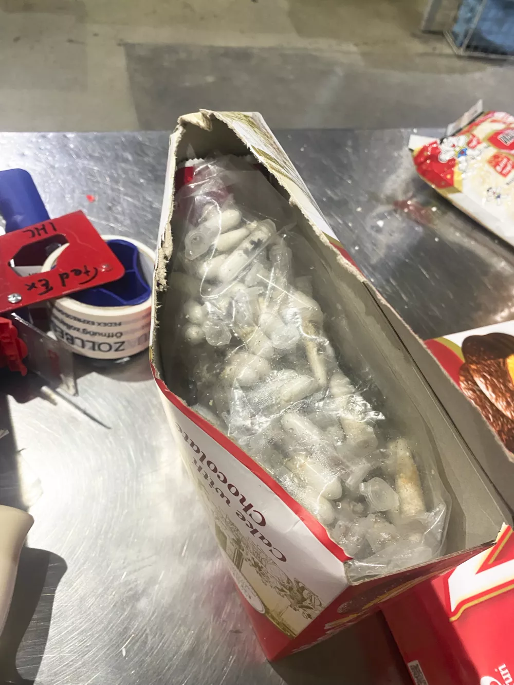This photo dated June 18, 2025 and provided by the main customs office Cologne, shows plastic containers holding young tarantulas that had been hidden in chocolate sponge-cake boxes shipped to Cologne Bonn airport, western Germany. (Haupzollamt Koeln via AP)