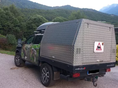 Germany, Bad Rippoldsau-Schapbach (Baden-Württemberg) - July 20, 2025.Bear Gaia - also known as JJ4 - transported from the Casteller Wildlife Center in the Italian province of Trentino to the Alternative Park for Bears and Wolves'' in the Black Forest, where her mother Jurka and her sister DJ3 already live..JJ4 attacked and killed a hiker in the autonomous northern province of Trento (Trentino Alto Adige) in Italy.Archive photo,Image: 1023841965, License: Rights-managed, Restrictions: * France, Germany and Italy Rights Out *, Model Release: no