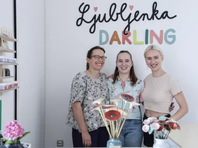 Ljubljenka &ndash; trgovina z najljub&scaron;imi rečmi