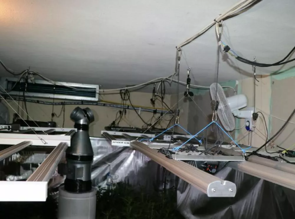 Prostor za gojenje konoplje. 