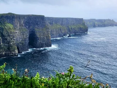 June 26, 2024: The Cliffs of Moher in County Clare, Ireland, in June 2024.,Image: 968455440, License: Rights-managed, Restrictions:, Model Release: no
