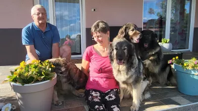 Kraški ovčar, Damjana in Davorin Lisjak, Miliruj / Foto: Katja Gleščič 