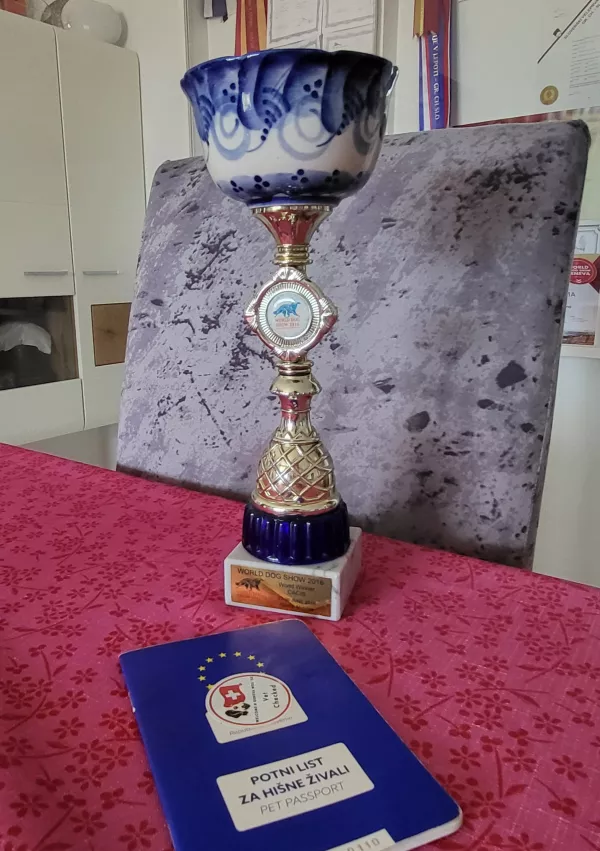 Kraški ovčar Mila, pokal Moskva, Damjana in Davorin Lisjak, Miliruj / Foto: Katja Gleščič 