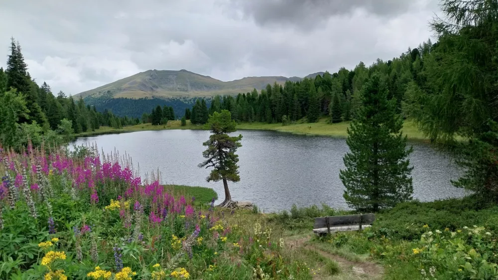 Turracher Höhe, visokogorska planota na meji med Štajersko in Koroško