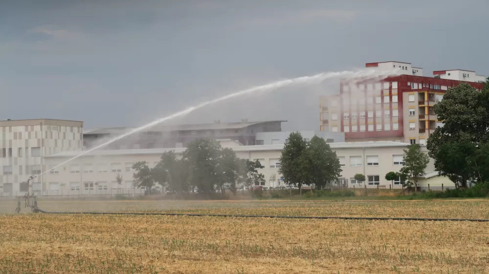 Rakičan, Panvita, kmetijsko zemljišče, polje, namakalni sistem, namakanje, Splošna bolnišnica Murska Sobota. Foto: Tatjana Pihlar 