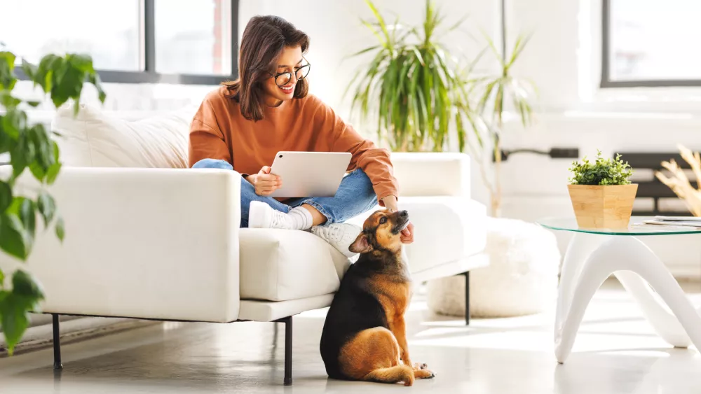 Foto: Arhiv ponudnika