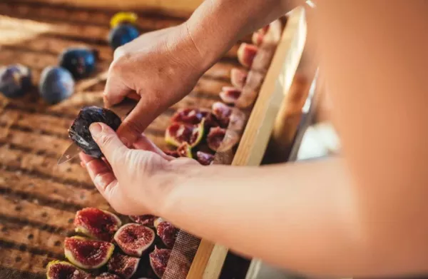 Na Kmetiji Marima večino pridelanega sadja posušijo v ekološki leseni sušilnici. F visitkoper