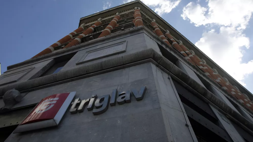 Prevzemi slovenskih podjetij gredo Hrvatom dobro od rok