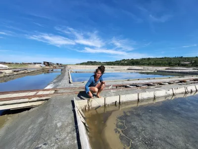 Sečovlje soline, dr. Maja Bjelica / Foto: Katja Gleščič 