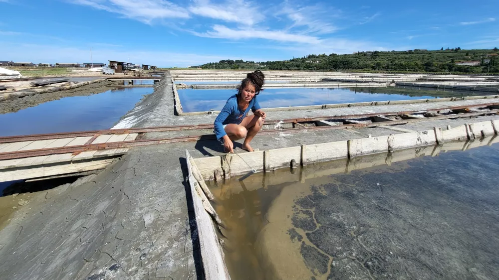 Sečovlje soline, dr. Maja Bjelica / Foto: Katja Gleščič 