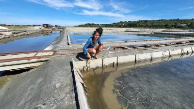 Sečovlje soline, dr. Maja Bjelica / Foto: Katja Gleščič 