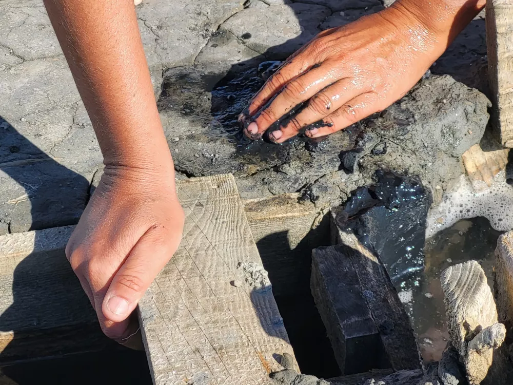 Sečovlje soline, dr. Maja Bjelica / Foto: Katja Gleščič 