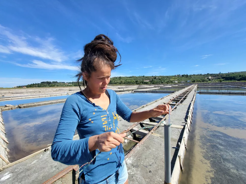 Sečovlje soline, dr. Maja Bjelica / Foto: Katja Gleščič 