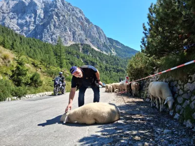 Siniša Germovšek na Vršiču / Foto: Katja Petrovec
