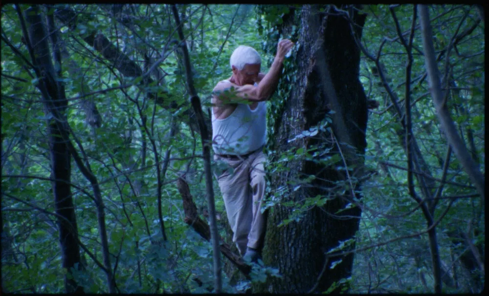 Pusti sanjam, da tlijo