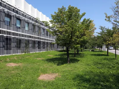 Posušile so se slavne japonske češnje ob Večni poti