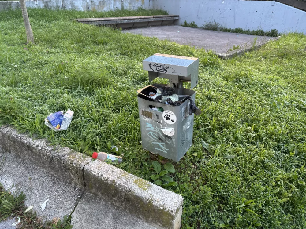 Odpadki okoli koša za smeti: Vrane izkoriščajo neodgovornost občanov