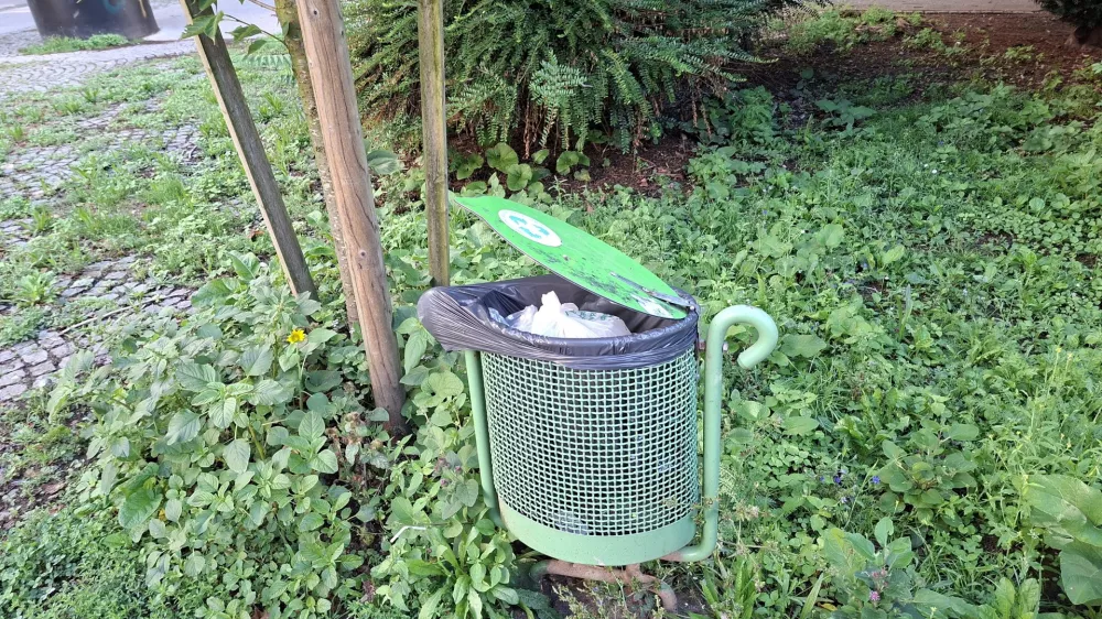 Odpadki okoli koša za smeti: Vrane izkoriščajo neodgovornost občanov