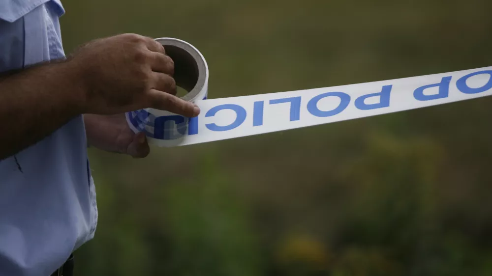 Foto: Bojan Velikonja