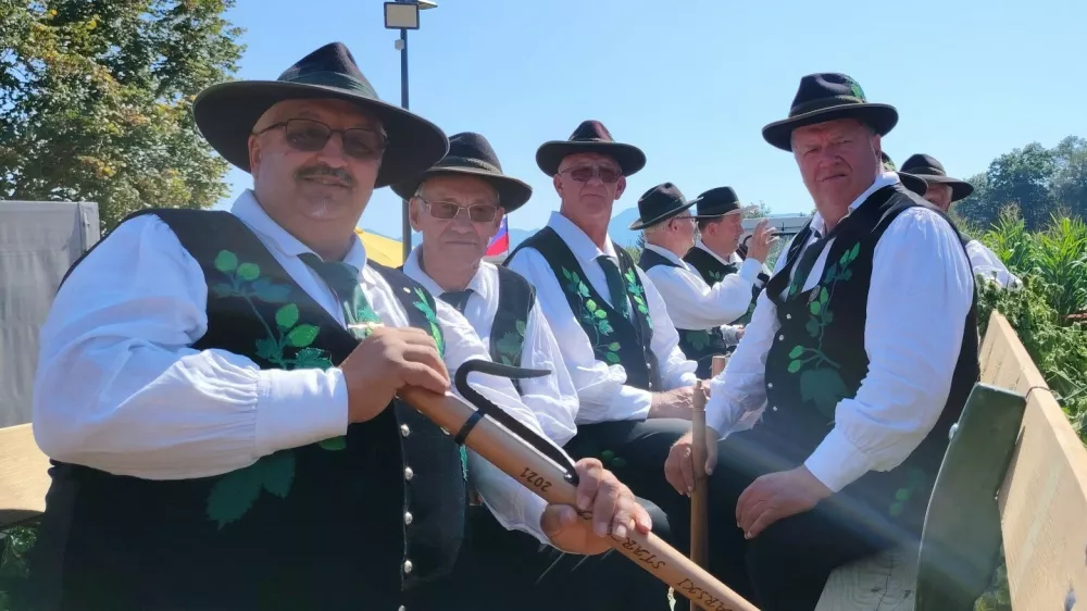 Hmeljarji letos pričakujejo podpovprečno letino