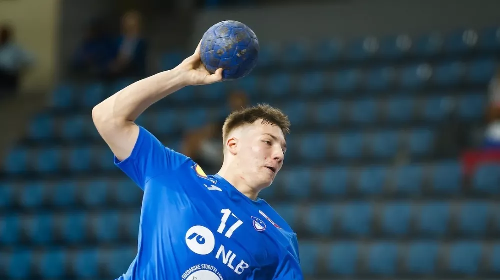 Aljuš Anžič, rokomet