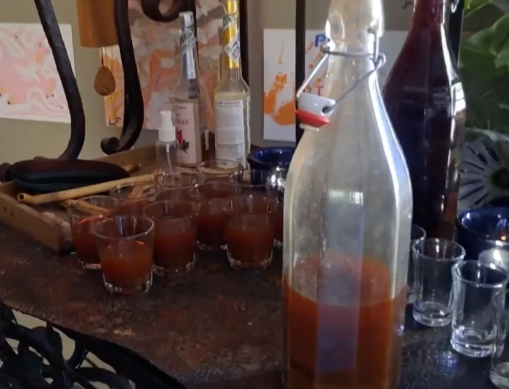 Seanse z ajahuasko, Španija. Duhovno potovanje.san pedro, wachuma, ayahuasca, psihoaktivne snovi