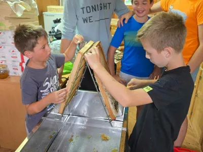 Krožek, v katerem imajo mladi čebelarji dobro letino