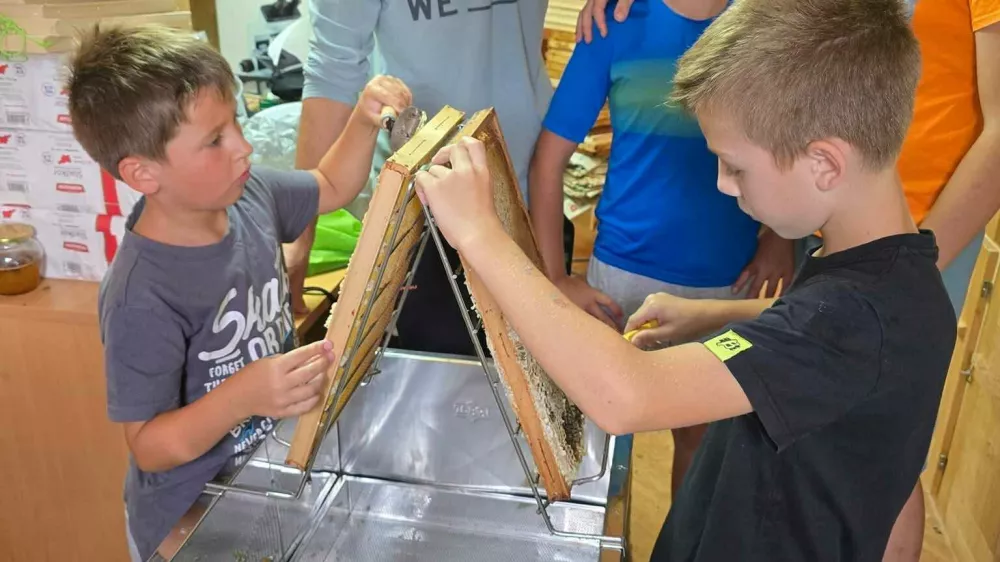 Krožek, v katerem imajo mladi čebelarji dobro letino