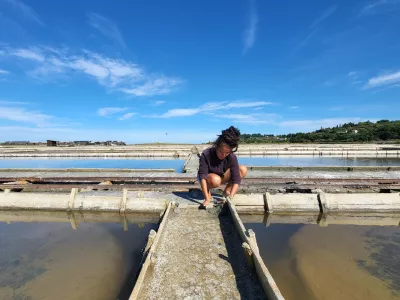 Sečovlje soline, dr. Maja Bjelica 