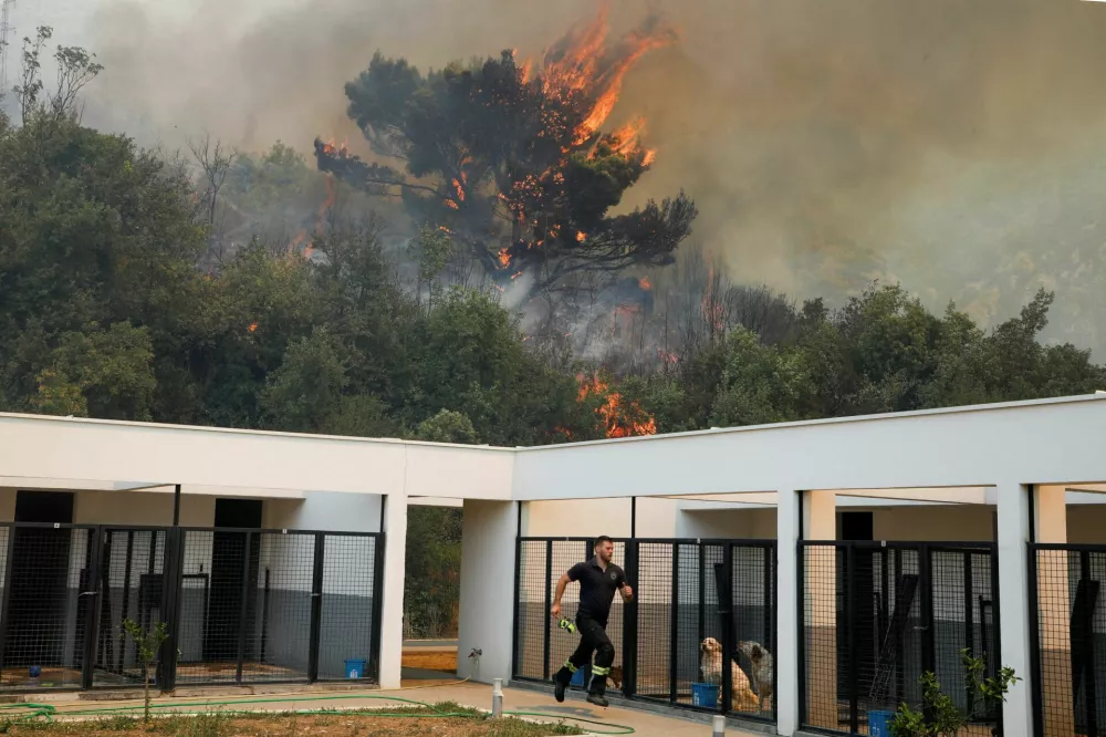 A firefighter runs near caged abandoned animals as fire rises above beach villages, Buljarica and Canj, as the temperature rises during a heatwave, near Bar, Montenegro, August 11, 2025. REUTERS/Stevo Vasiljevic   TPX IMAGES OF THE DAY
