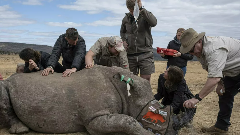 piugios ugiosugiou giou iou wioč uou iočgu o / Foto: Nn