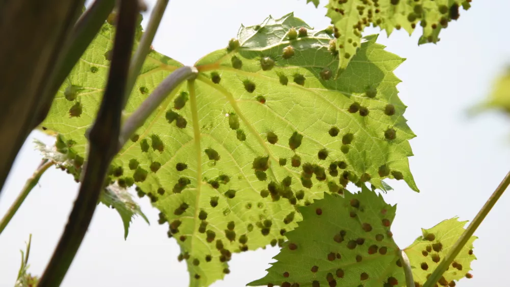 eqwr 34tz / Foto: Joachim Schmid