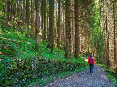 Simbolična fotografija: Profimedia