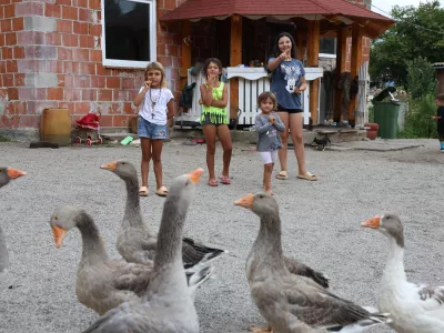 PREGLED LETA - Romska problematika - Otavice//FOTO: Jaka GasarOPOMBA: ZA OBJEKTIV