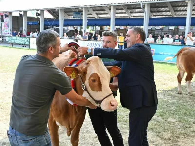 Zaradi širjenja bolezni modrikastega jezika bo razstava živali na letošnji Agri okrnjena. F arhiv Pomurskega sejma 