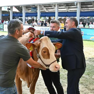 Zaradi širjenja bolezni modrikastega jezika bo razstava živali na letošnji Agri okrnjena. F arhiv Pomurskega sejma 