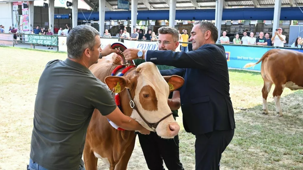 Zaradi širjenja bolezni modrikastega jezika bo razstava živali na letošnji Agri okrnjena. F arhiv Pomurskega sejma 