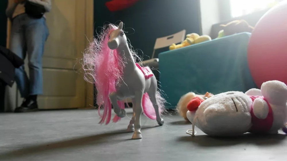 Otroške igrače, konj in helly kity