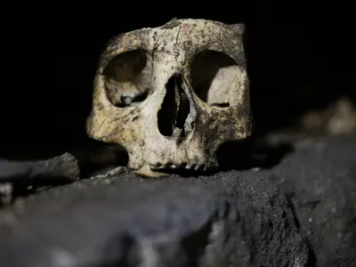 ﻿A skull is pictured inside the catacomb of Priscilla in Rome November 19, 2013. The catacomb, used for Christian burials from the late 2nd century through the 4th century, reopened on Tuesday to the public after years of restoration. The complex will also be viewable in a dedicated section of Google Maps, according to a Vatican press release. REUTERS/Max Rossi (ITALY - Tags: SOCIETY TRAVEL)